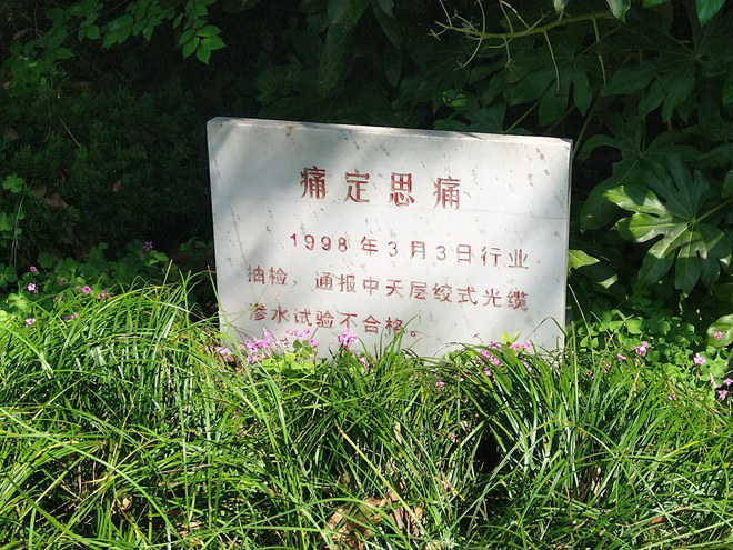 Ȧ(й)Ϊdu